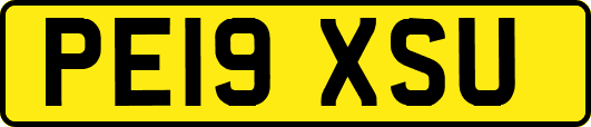 PE19XSU