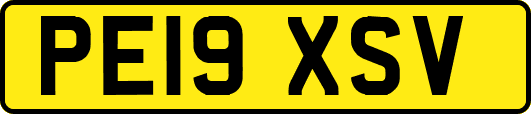 PE19XSV