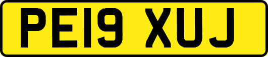 PE19XUJ