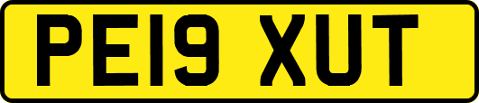 PE19XUT