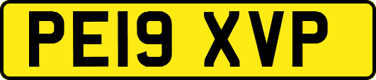 PE19XVP