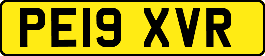 PE19XVR