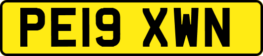PE19XWN