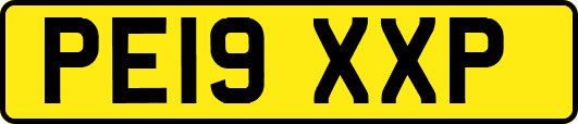 PE19XXP