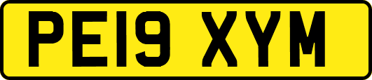 PE19XYM
