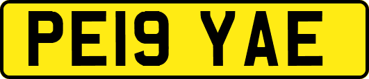 PE19YAE