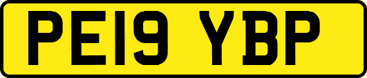 PE19YBP