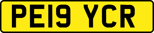 PE19YCR