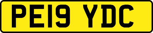 PE19YDC
