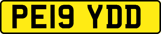 PE19YDD