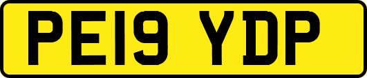PE19YDP