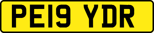 PE19YDR