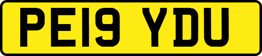 PE19YDU