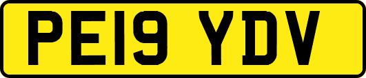 PE19YDV
