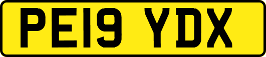 PE19YDX