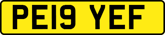PE19YEF