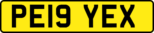 PE19YEX