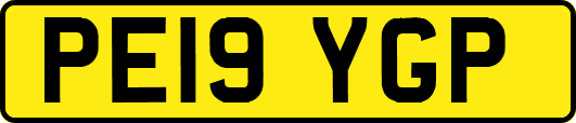 PE19YGP