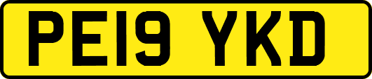 PE19YKD