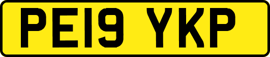 PE19YKP