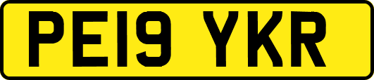PE19YKR