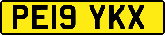 PE19YKX