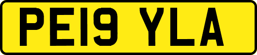 PE19YLA