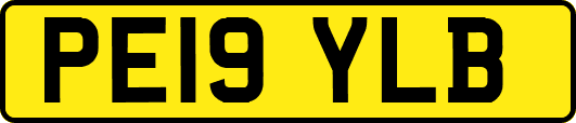 PE19YLB