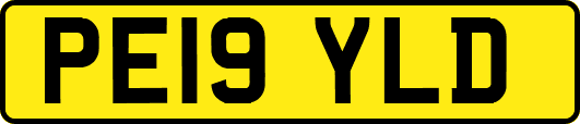 PE19YLD