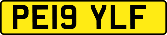 PE19YLF