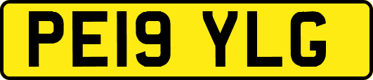 PE19YLG