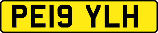 PE19YLH