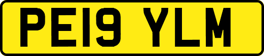 PE19YLM