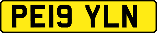 PE19YLN