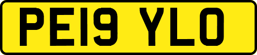 PE19YLO