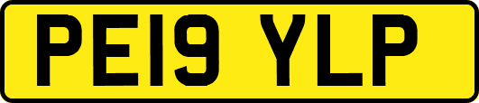 PE19YLP