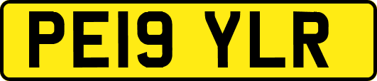 PE19YLR