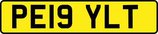 PE19YLT