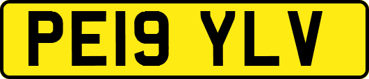 PE19YLV