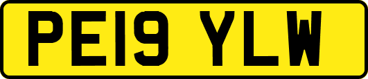 PE19YLW