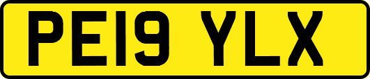 PE19YLX