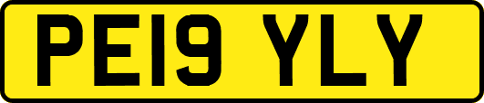PE19YLY