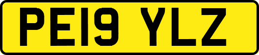 PE19YLZ