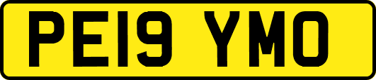 PE19YMO