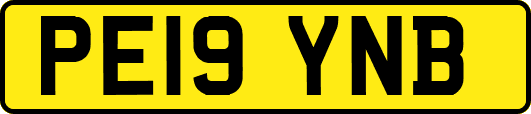PE19YNB