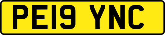 PE19YNC