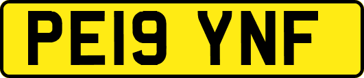 PE19YNF