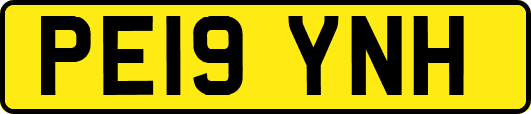 PE19YNH