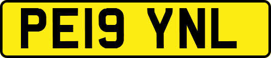 PE19YNL