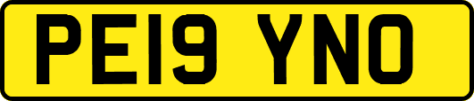 PE19YNO